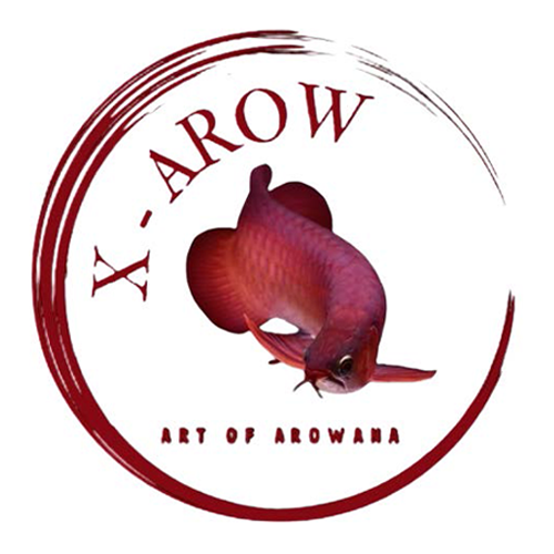 X-Arow